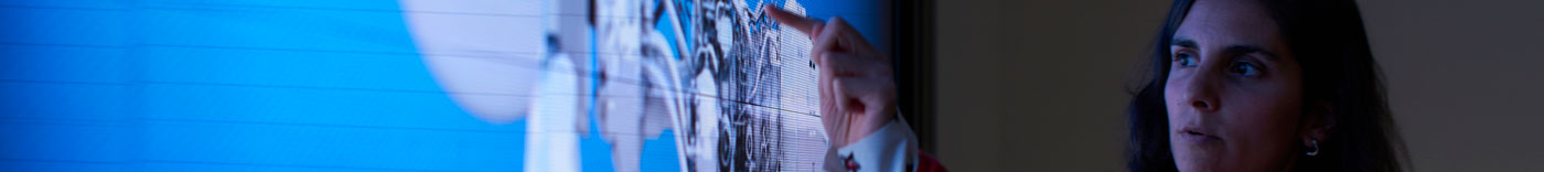 Bild zu IT Business Analyst